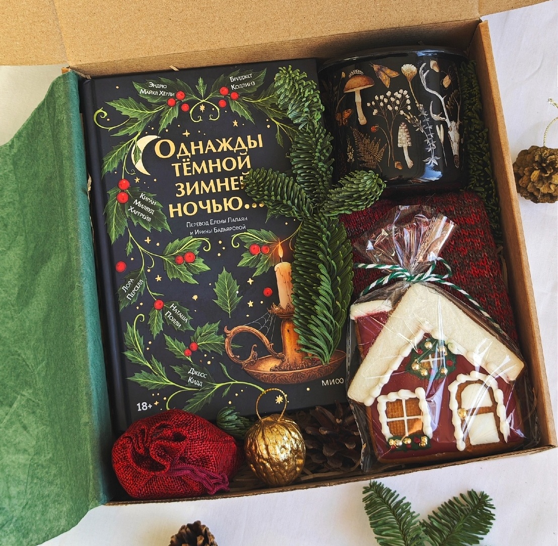 Подарочный набор с книгой "Однажды темной зимней ночью" Подарочный набор с книгой "Однажды темной зимней ночью"